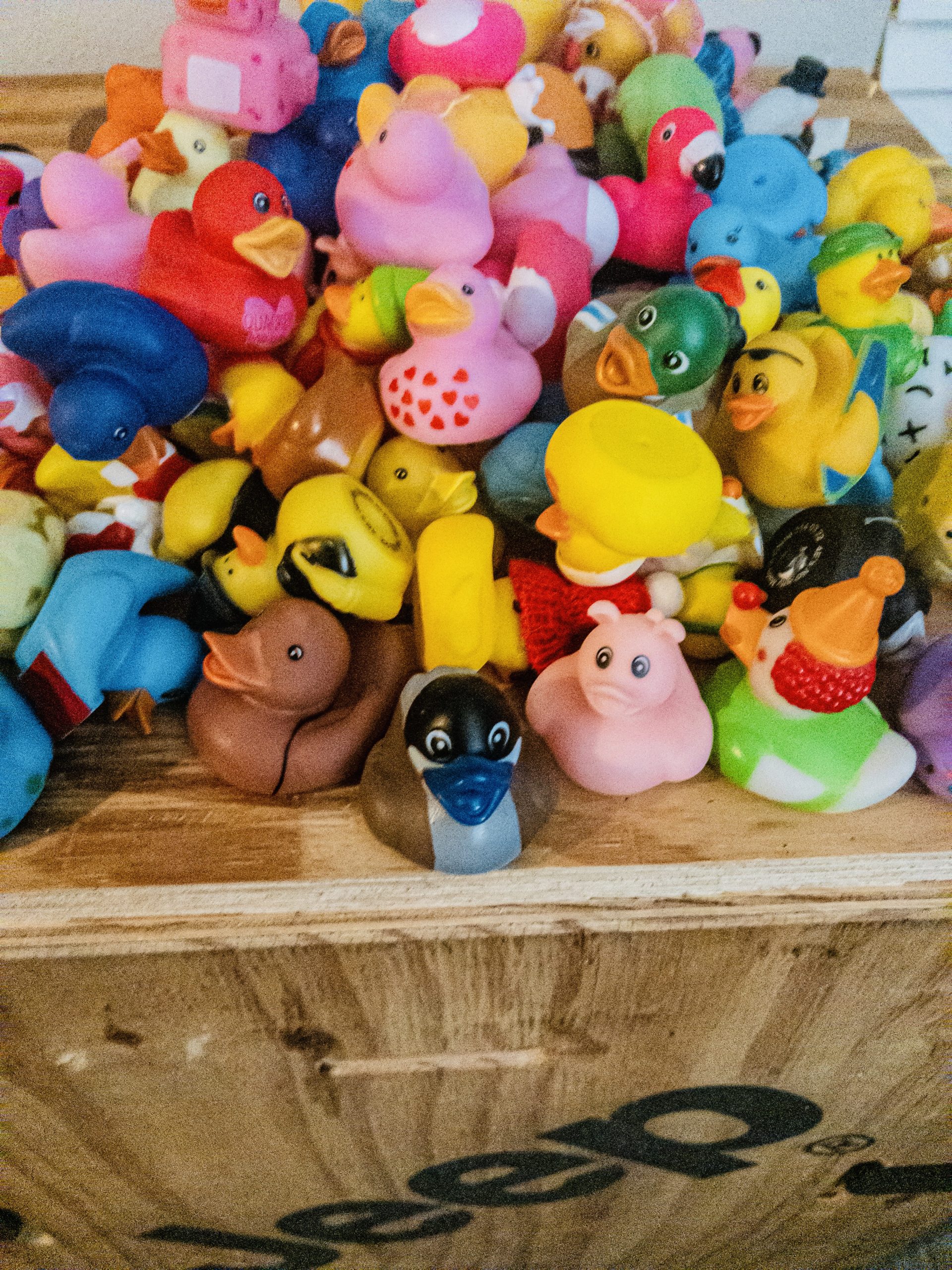 multi - colored 2" rubber ducks