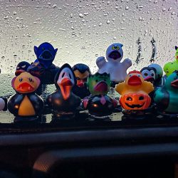 JL Board shown with Halloween Ducks